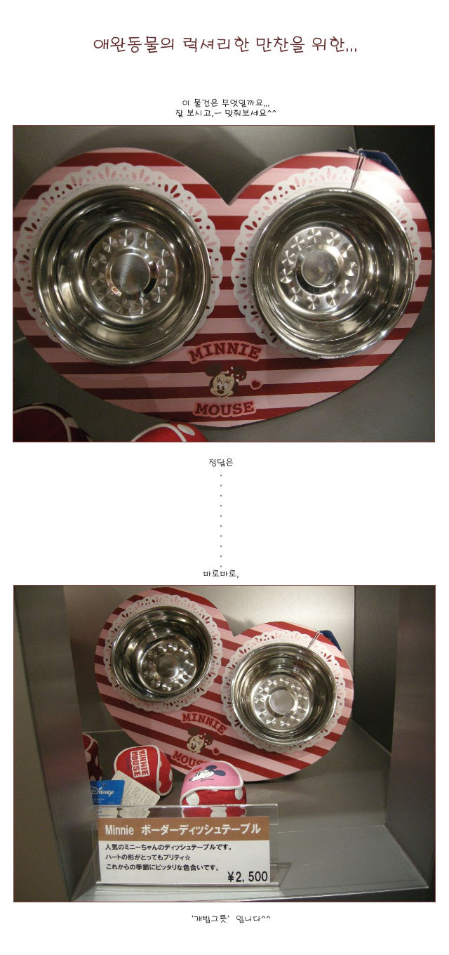 [�Ϻ� ����] �ֿ� ������ ���Ÿ��� ������ ����...